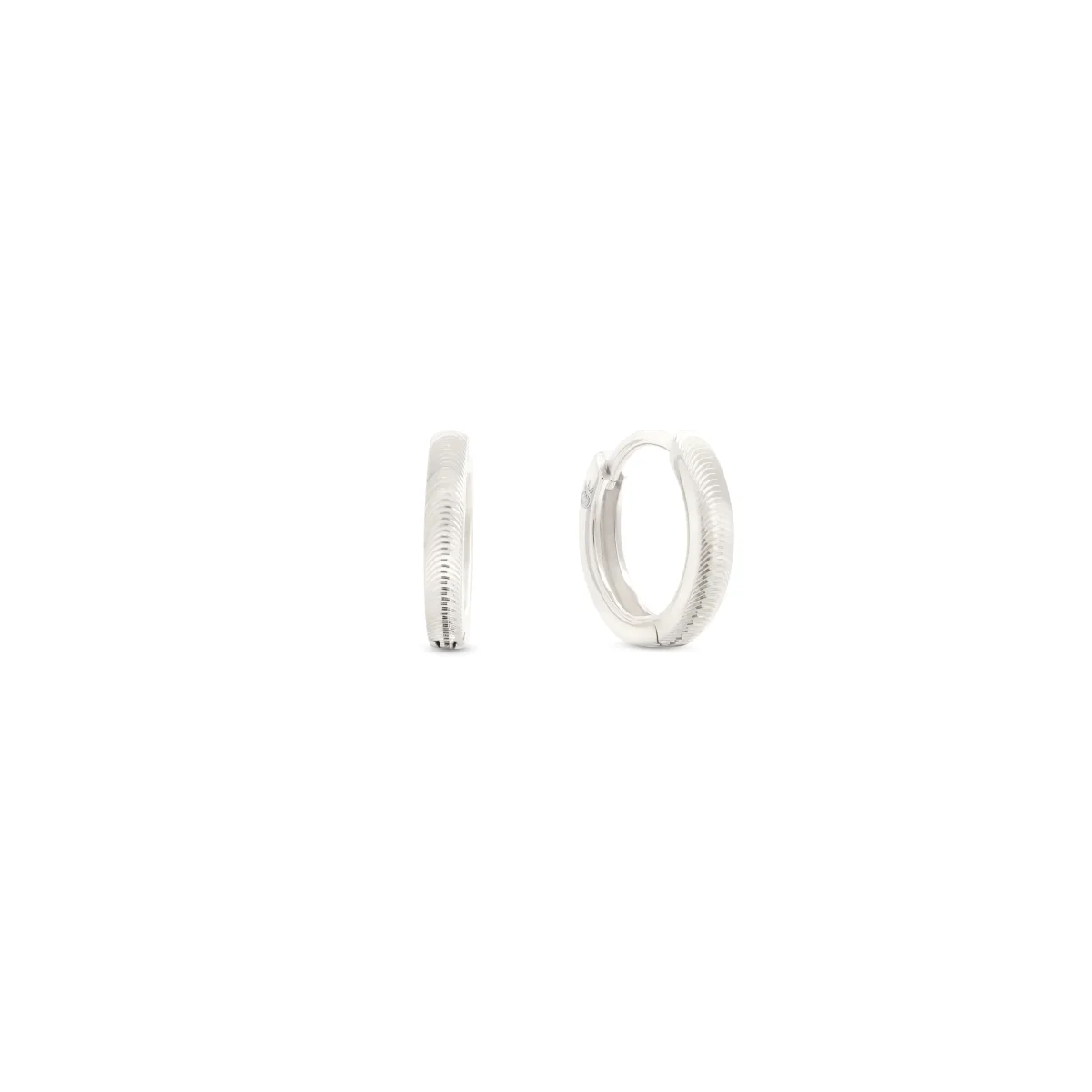 Serpent Silver Earrings